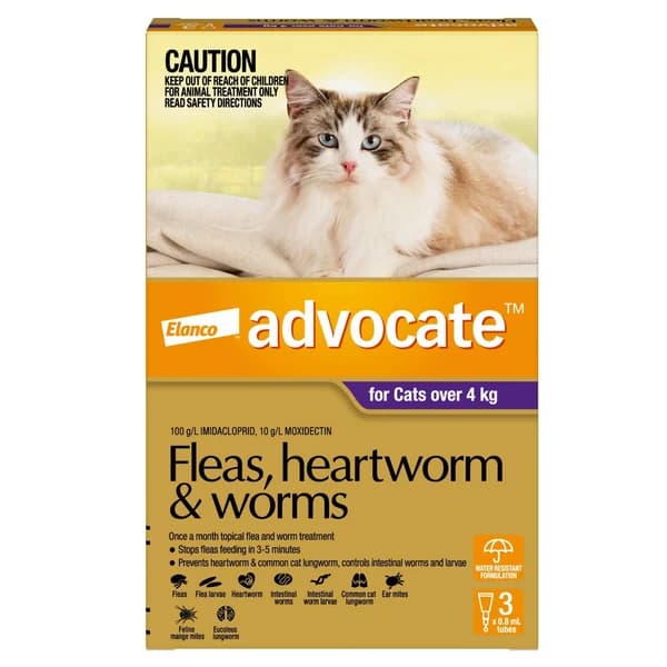 Bayer / Elanco Advocate (Imidacloprid 10% + Moxidectin 1.0%) All-in-One Broad-Spectrum Monthly Spot-On Solution for Large Cats (Over 4 kg, 0.8ml Pipette)