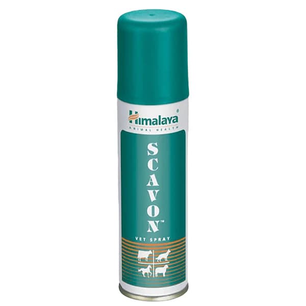 Himalaya Scavon Vet Herbal Antimicrobial, Antifungal, Fly-Repellent & Wound Healing Spray with Neem, Eucalyptus & Turmeric for Dogs & Cats (100ml Spray Bottle)