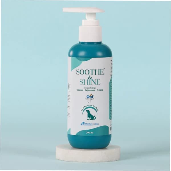 ntas Soothe & Shine Colloidal Oatmeal, Aloe Vera, Vitamin A & E, Tropical Fruit Enzyme Conditioning & Anti-Itch Medicated Shampoo for Dogs