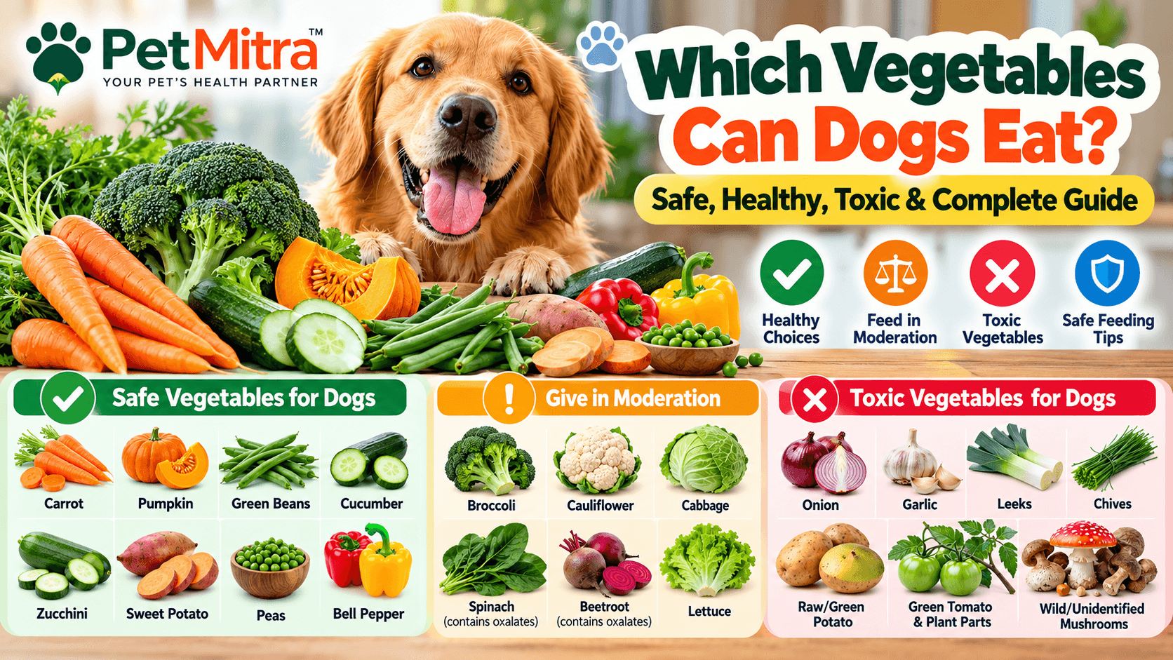 Which Vegetables Can Dogs Eat? Safe, Healthy, Toxic & Vegetables to Avoid