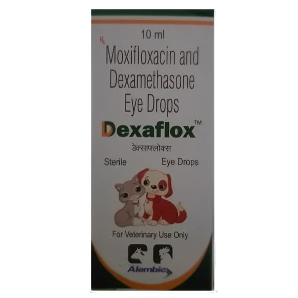 Alembic Dexaflox Eye Drops with Moxifloxacin & Dexamethasone for Dogs & Cats