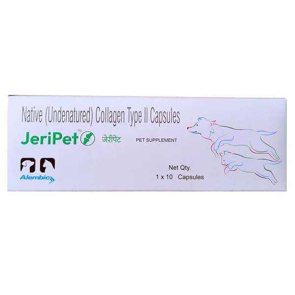 Alembic Jeri Pet Capsule – Appetite & Recovery Support for Dogs and Cats