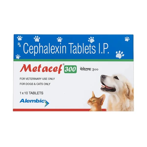 Alembic Metacef 300 mg Cephalexin Tablet for Dogs & Cats