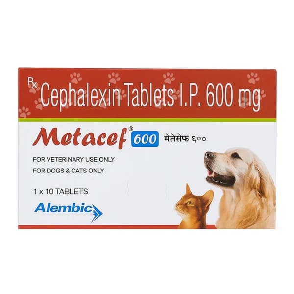 Alembic Metacef 600 mg Cephalexin Tablet for Dogs & Cats