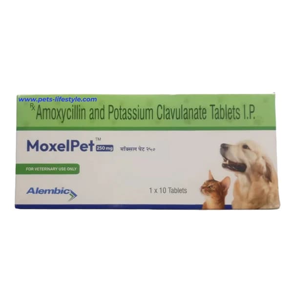 Alembic MoxelPet 250 mg contains Amoxicillin 200 mg and Clavulanic Acid 50 mg for veterinary treatment of susceptible bacterial infections in dogs and cats.