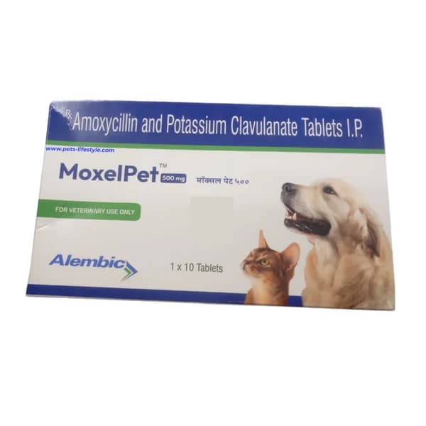 Alembic MoxelPet 500 mg Amoxycillin & Clavulanic Acid Tablet for Dogs & Cats