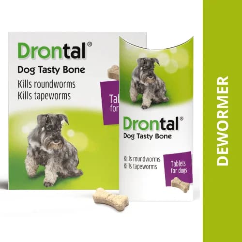 Bayer / Elanco Drontal Plus Tasty (Praziquantel 50mg + Pyrantel Embonate 144mg + Febantel 150mg) Broad-Spectrum Deworming Tablets for Dogs (Pack of 6 Tablets)
