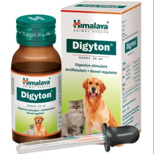 Himalaya Digyton Digestive Stimulant, Carminative & Bowel Regulator Oral Drops for Puppies, Kittens, Dogs & Cats (30ml Bottle with Calibrated Dropper)