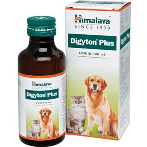 Himalaya Digyton Plus Digestive Stimulant, Carminative & Bowel Regulator Syrup for Dogs & Cats (100ml Bottle)