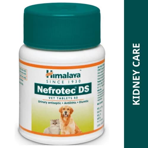 Himalaya Nefrotec DS Vet Herbal Antilithic, Diuretic & Urinary Antiseptic Tablets for Dogs & Cats (Bottle of 60 Tablets)