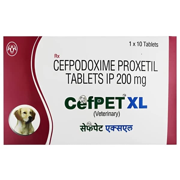 Intas Cefpet XL 200mg Broad-Spectrum 3rd-Generation Cephalosporin Antibiotic Tablets for Dogs & Cats
