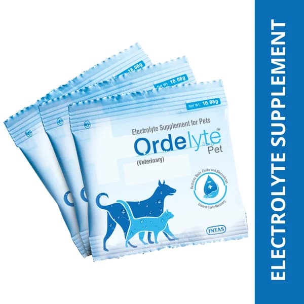 Intas Ordelyte Pet Oral Rehydration Salts (ORS) & Enterocyte Gut-Repair Powder for Dogs & Cats