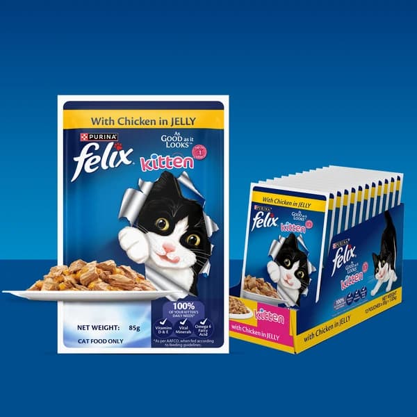 Purina Felix "As Good As It Looks" Complete & Balanced Kitten Cat Wet Food – Tender Chicken Chunks in Savory Jelly (85g Pouch & Multipack Formats)
