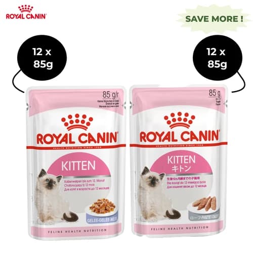 Royal Canin Kitten Jelly & Kitten Loaf Cat Wet Food Combo
