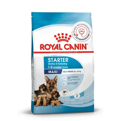 Royal Canin Maxi Starter Mother & Babydog Dry Food – Complete Nutrition for Large Breed Mothers & Puppies