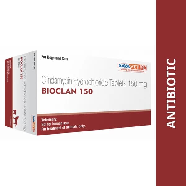 Savavet Bioclan (Clindamycin Hydrochloride) Broad-Spectrum Aerobic & Anaerobic Antibacterial Chewable Tablets for Dogs & Cats (Pack of 10 Tablets)