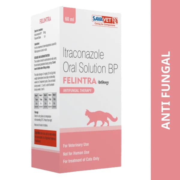 Savavet Felintra (Itraconazole 10 mg/ml) Oral Solution for Cats & Kittens