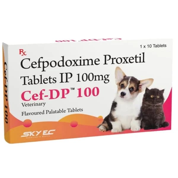 SkyEc Cef DP 100mg (Cefpodoxime Proxetil) Broad-Spectrum Antibiotic Tablets for Dogs and Cats