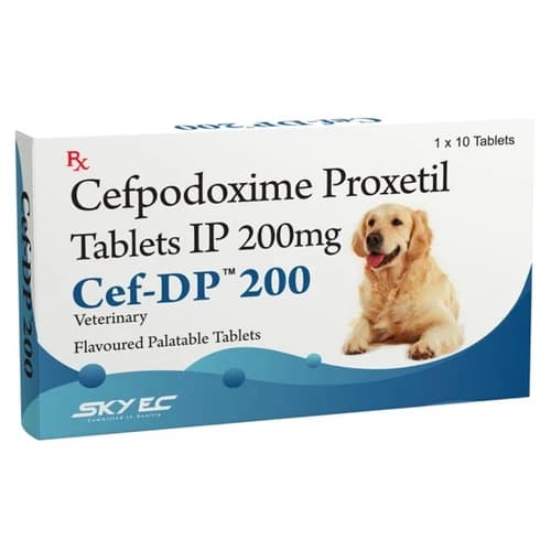 SkyEc Cef DP 200mg (Cefpodoxime Proxetil) Broad-Spectrum Antibiotic Tablets for Medium to Large Dogs and Cats