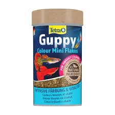 Tetra Guppy Colour Mini Flakes Fish Food – Advanced Color-Intensifying Mini Flake Diet with Natural Pigment Boosters, BioActive Immune Formula & High Digestibility for Guppies, Mollies, Platies & Livebearers (30g Pack)