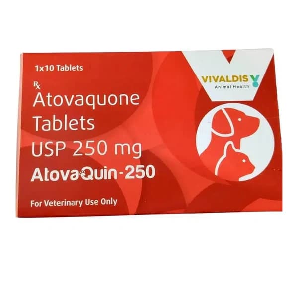 Vivaldis Atovaquin 250mg (Atovaquone USP) Antiprotozoal Tablets for Dogs & Cats (10 Tablets)