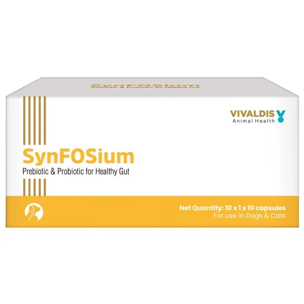 Vivaldis Synfosium Prebiotic & Probiotic Synbiotic Capsules for Dogs & Cats