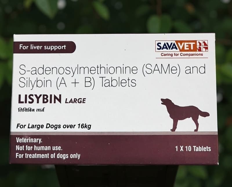 Savavet Lisybin S-Adenosylmethionine & Silybin Tablet for Dogs & Cats